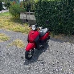 843.　動画あり　ホンダ　AF67トゥデイ　FI 原付　バイク...
