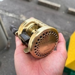 カルカッタ201XTを探しています。