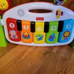 フィッシャーマンズ　ﾋﾟｱﾉｼﾞﾑ　4wayﾊﾞｲﾘﾝｶﾞﾙの画像