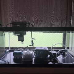 GEX水槽　40cm、60cm、その他付属品の画像