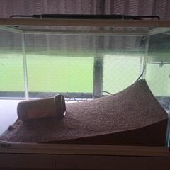 GEX水槽　40cm、60cm、その他付属品の画像