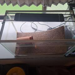 GEX水槽　40cm、60cm、その他付属品の画像