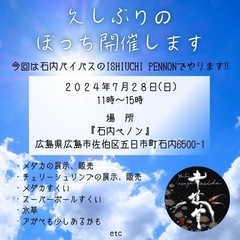 久しぶりのぼっちメダカイベント開催