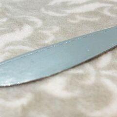 【LUCKY WOOD】 ラッキーウッド　フィッシュナイフ ６本セット (ステンレス製)■A-156の画像