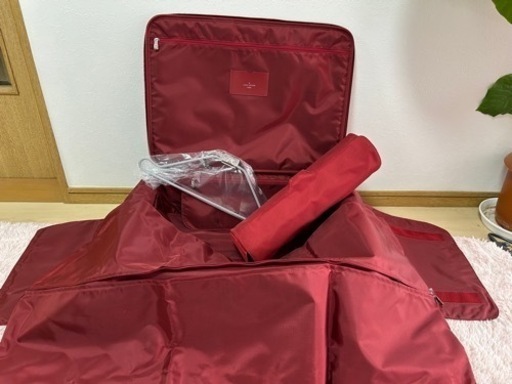 スーツケース　美品 LOUIS VUITTON エピ ぺガス55 キャリーケース