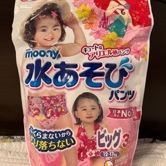 水あそびパンツ ビッグ 4枚 アリエル柄 ピンク