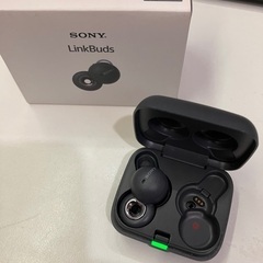 LinkBuds WF-L900　