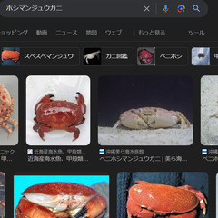 ホシマンジュウガニ