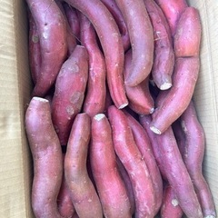 さつまいも　シルクスイート　甘い　Sサイズ