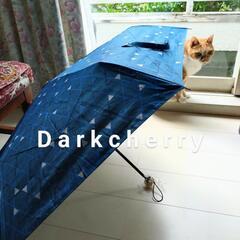 【新品】京都くろちく★折り畳み傘★晴雨兼用★定価¥3850★かご...