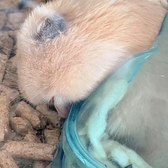スポットクーラー 窓枠クーラー