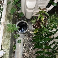 キッチンの詰まり、トイレの浴室詰まり、蛇口交換 の画像