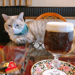 秋葉原にあるカフェ ダミアーノというお店に行ってくれる方