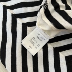 半袖Tシャツ　ボーダーの画像