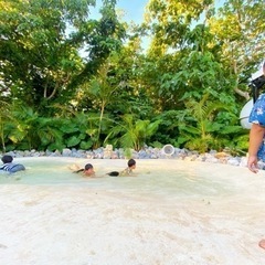 1泊🏠プライベートBBQ🍖ドームテント⛺️グランピング場🌴の画像