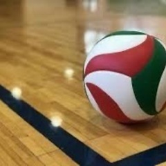 なごやバレー部🏐 − 愛知県