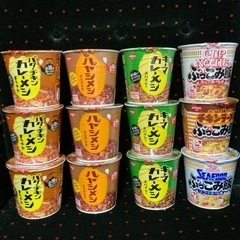 カレーメシ　ハヤシメシ　ぶっこみ飯　合計12個