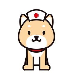 看護師単発バイト/高時給/面接なし/即勤務出来ます/週1回月1回OK/扶養内Wワーク/地元の派遣会社で安心です/の画像