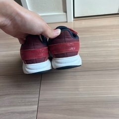 子供  スニーカー 靴の画像