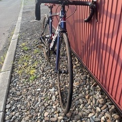 スクルトゥーラ4000
