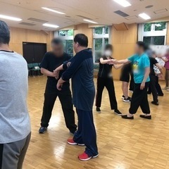 健康と護身術の伝統武術の太極拳　推手もやれます。
