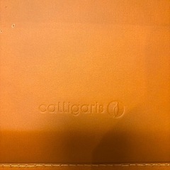 Calligaris カリガリス ベンチ SHAPE シェイプ チェア レザーの画像