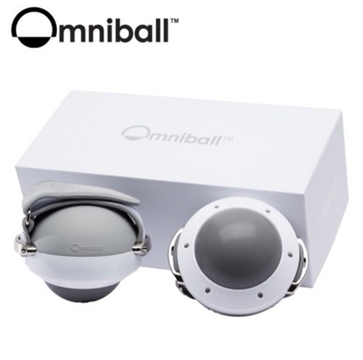 【値下げ中☆】中古・箱なし★オムニボール（Omniball）