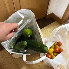 きゅうり　トマト