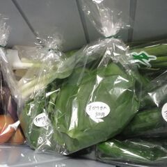 新鮮野菜コーナー7月19日の品出し予定です。