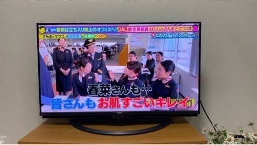 家電 テレビ 液晶テレビ