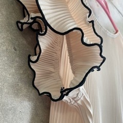 バイカラーフリル袖プリーツトップスの画像