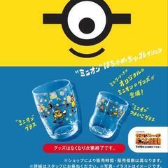 ミスドミニオングラス