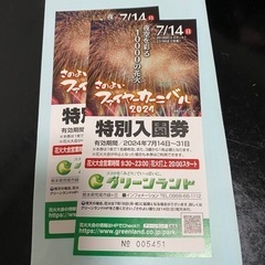 グリーンランド入場券