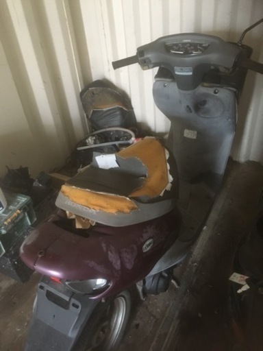 ホンダ ライブディオチェスタ