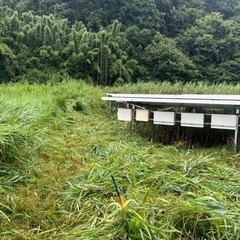 ご協力ありがとうございました‼️いわき市　太陽光草刈り作業員募集‼️2名の画像