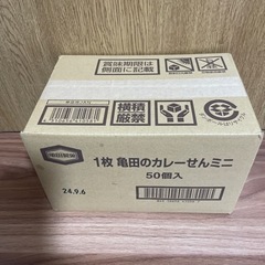 亀田のカレーせんミニの画像