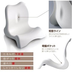 座椅子／骨盤シェイプチェア・曲線美の画像