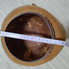 ココナッツ 椰子 小物入れ プランター  バリ雑貨 アジアン エスニックの画像