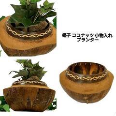 ココナッツ 椰子 小物入れ プランター  バリ雑貨 アジアン エスニックの画像