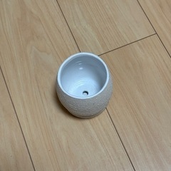 小さい植木鉢 エッグ型の画像