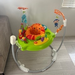 フィッシャープライス レインフォレスト ジャンパルーII の画像