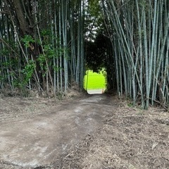 貸土地です！160坪と広々！
