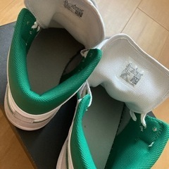 NIKE AIR JORDAN 1 MID PINE GREEN の画像