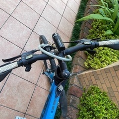 クロスバイク TREK の画像