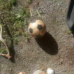サッカーボール