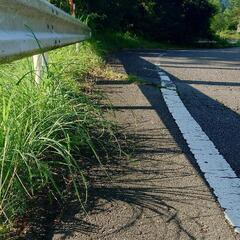 草刈り、草引き、除草剤各種対応します
