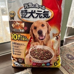 愛犬元気 6kg