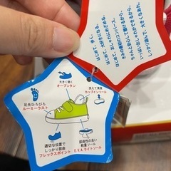 コンバース13cmの画像