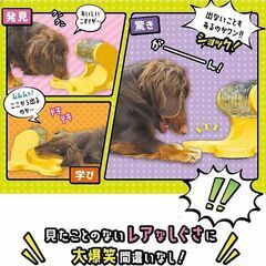 (お話し中)■ドギーマン★わんこのでるでる自飯器★考えて！回して！食べる　ガラポン式おもちゃ◎の画像