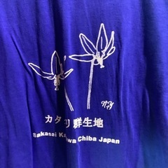 カタクリ群生地　Tシャツの画像